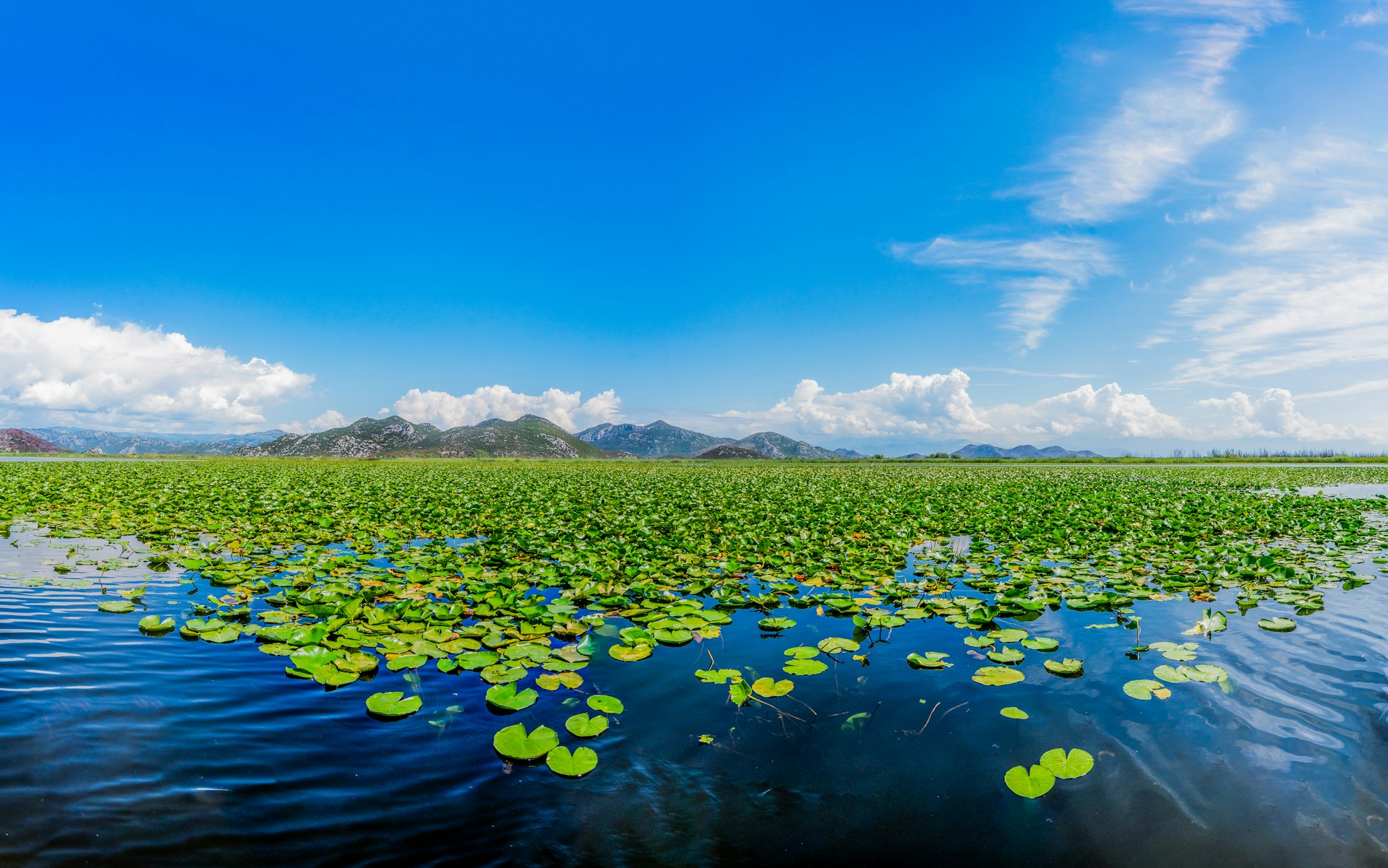 Skadar Lake